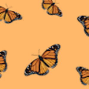 Meet your Posher, Mariann